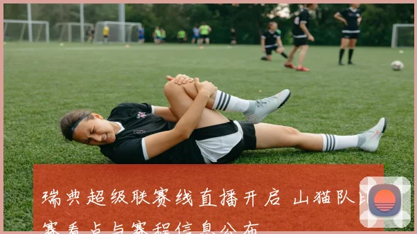 瑞典超级联赛线直播开启 山猫队比赛看点与赛程信息公布