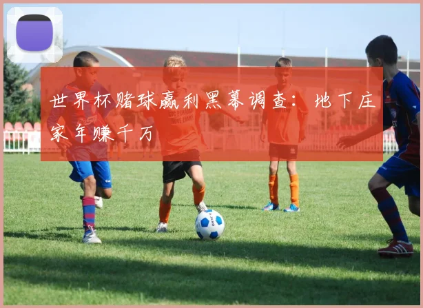 世界杯赌球赢利黑幕调查:地下庄家年赚千万