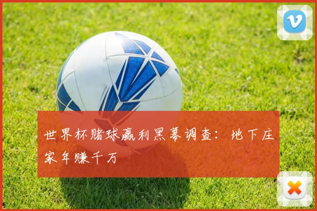 世界杯赌球赢利黑幕调查:地下庄家年赚千万