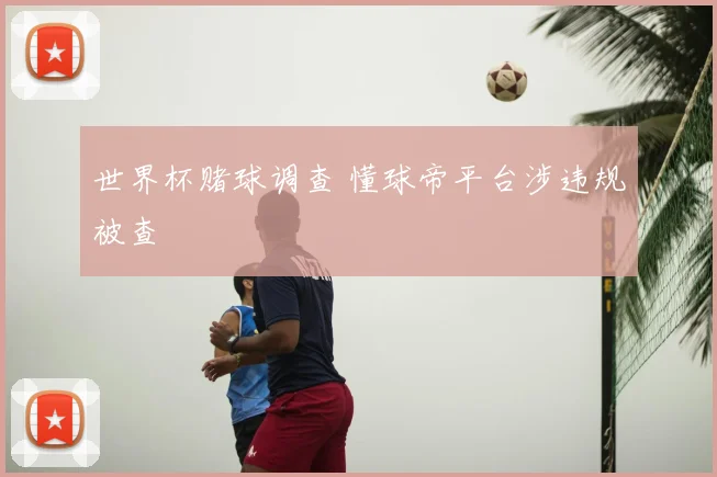 世界杯赌球调查 懂球帝平台涉违规被查