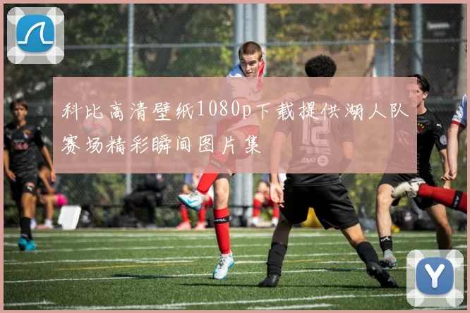 科比高清壁纸1080p下载提供湖人队赛场精彩瞬间图片集