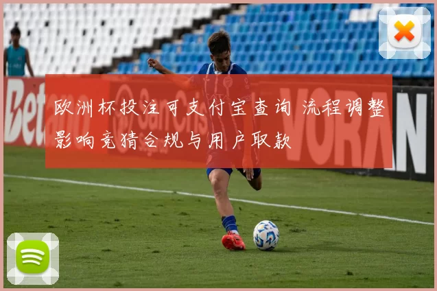 欧洲杯投注可支付宝查询 流程调整影响竞猜合规与用户取款