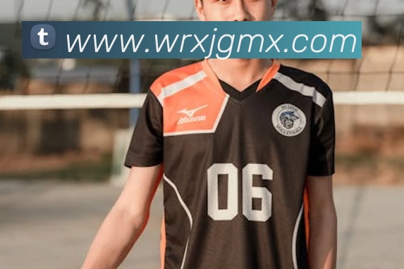 App Interface Preview